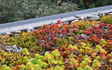 the cost of Felixstowe green roof installation