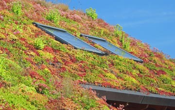 Felixstowe living roof systems